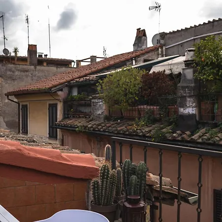 Apartament Navona Luxury Terrace - 12 Guests